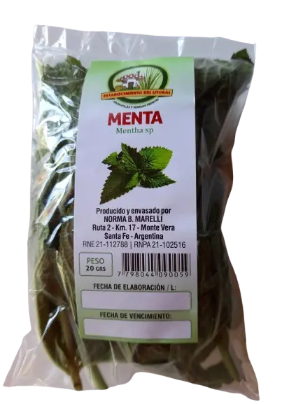 Menta