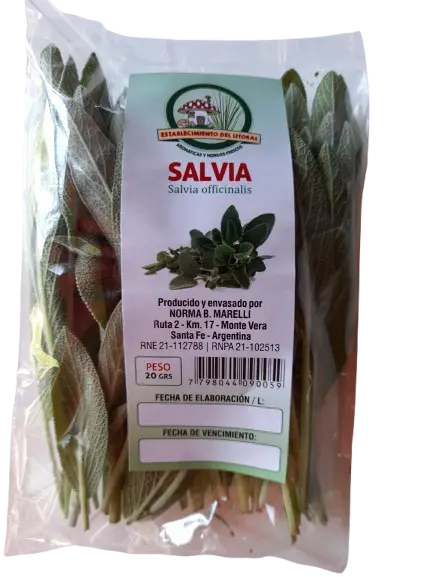 Salvia