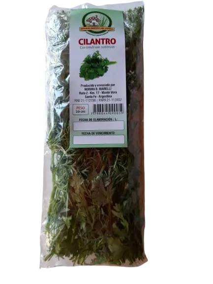 Cilantro 
