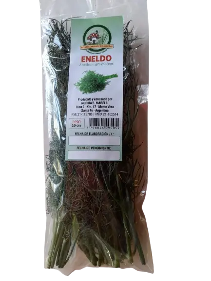 Eneldo