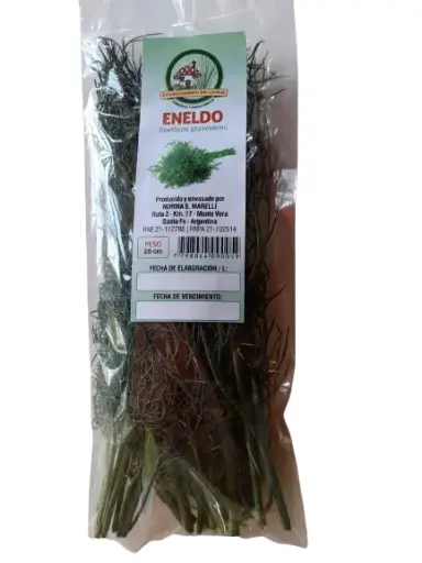 Eneldo