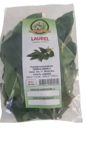 Laurel