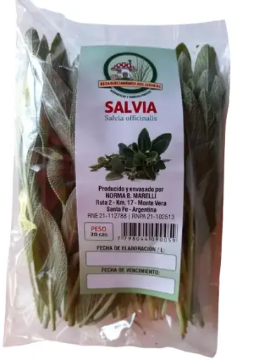 Salvia