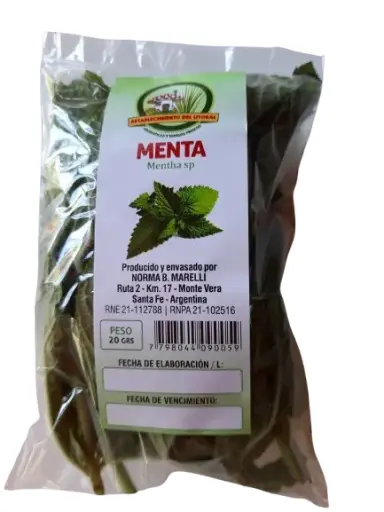 Menta