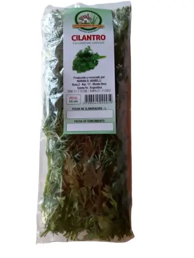 Cilantro 